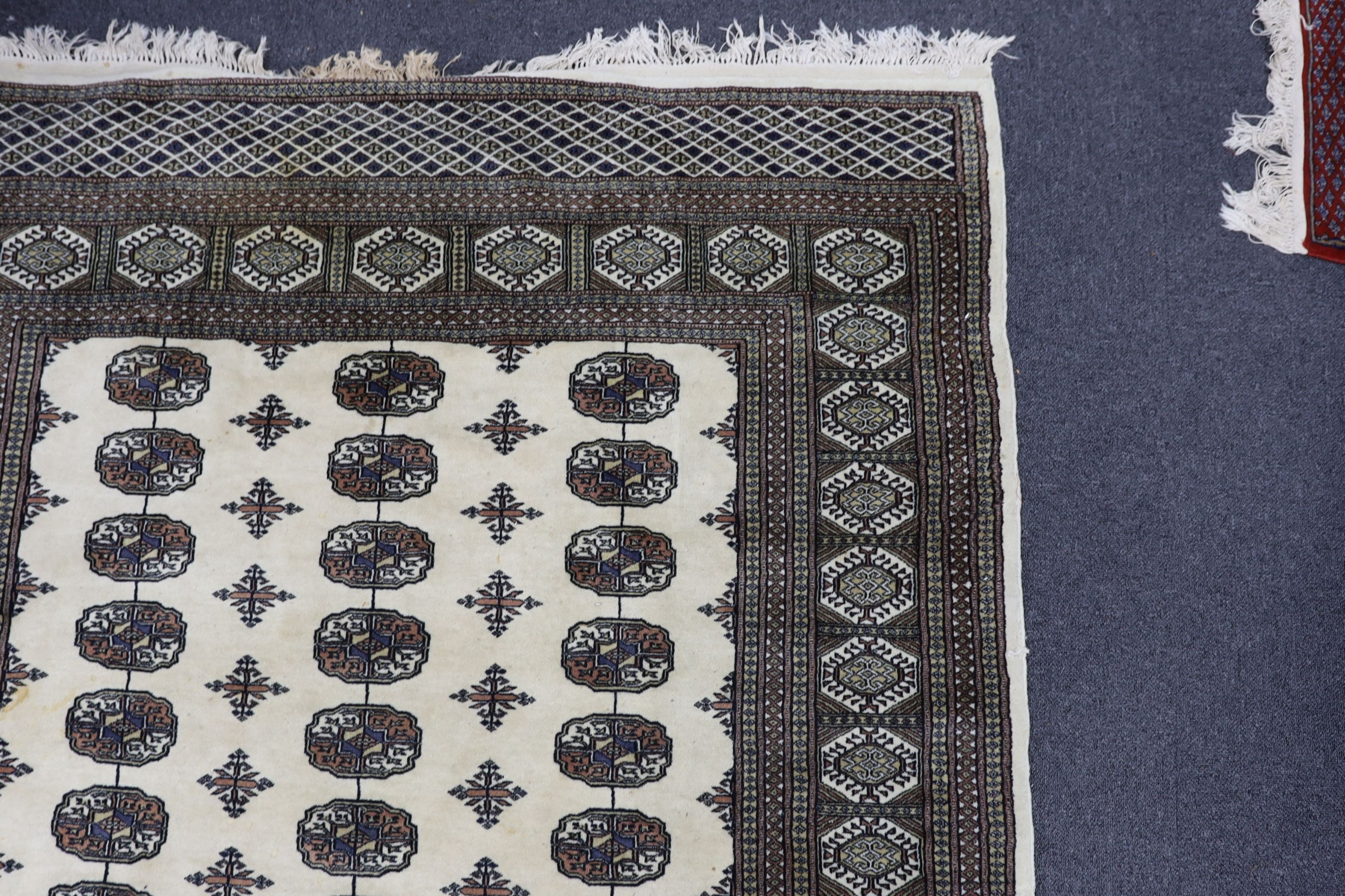 A Bokhara ivory ground rug, 246 x 156cm